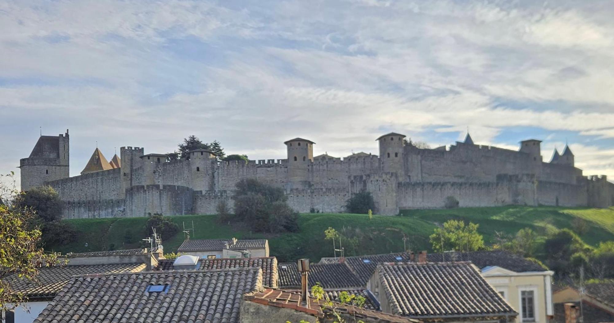Vue Cite Medievale Castel View Carcassonne Exterior foto