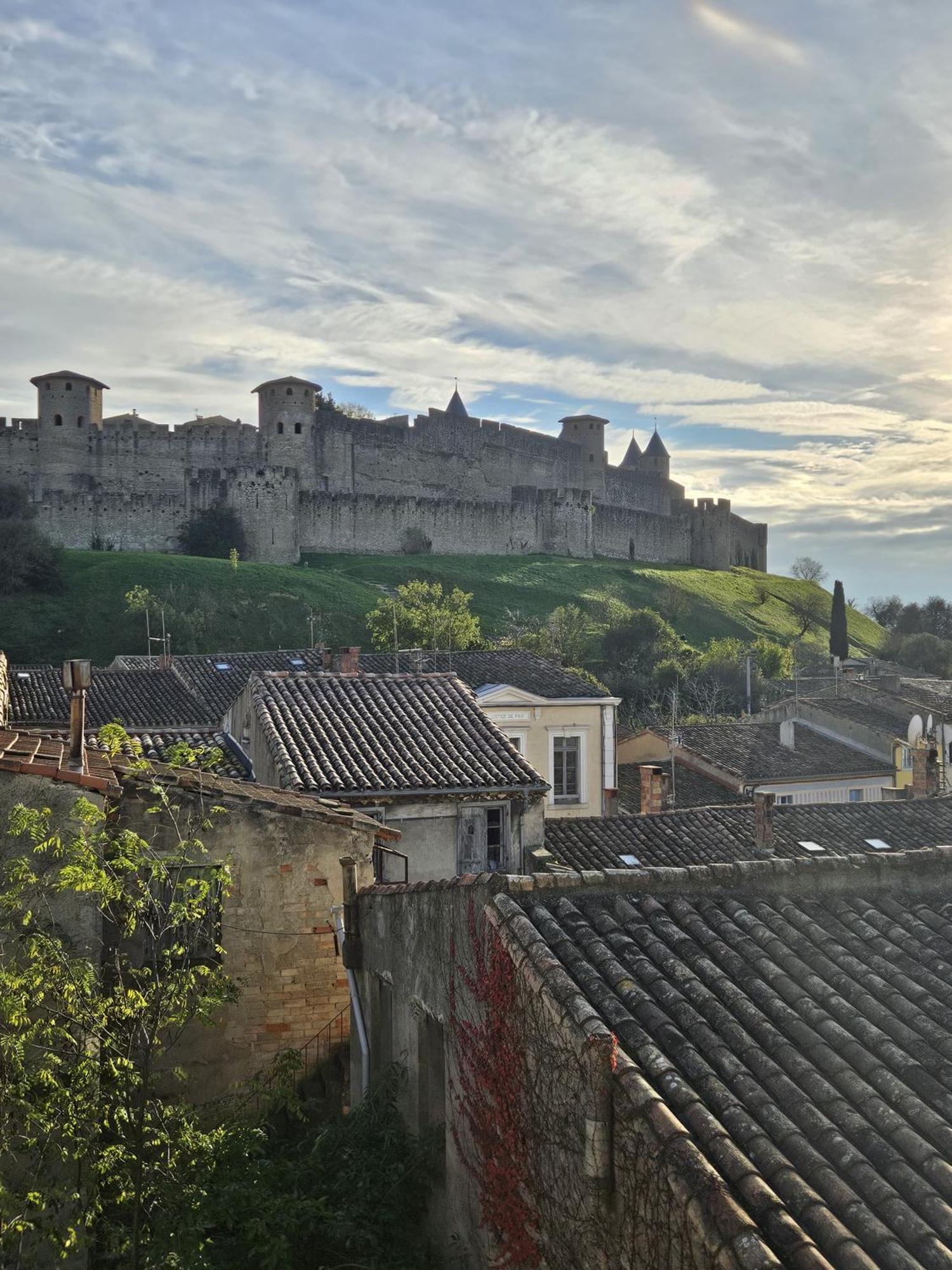Vue Cite Medievale Castel View Carcassonne Exterior foto