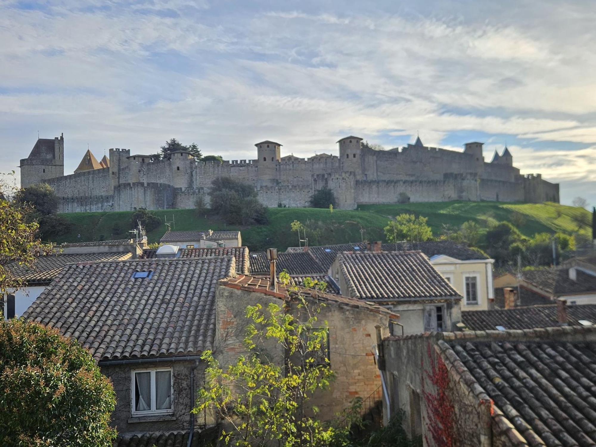Vue Cite Medievale Castel View Carcassonne Exterior foto