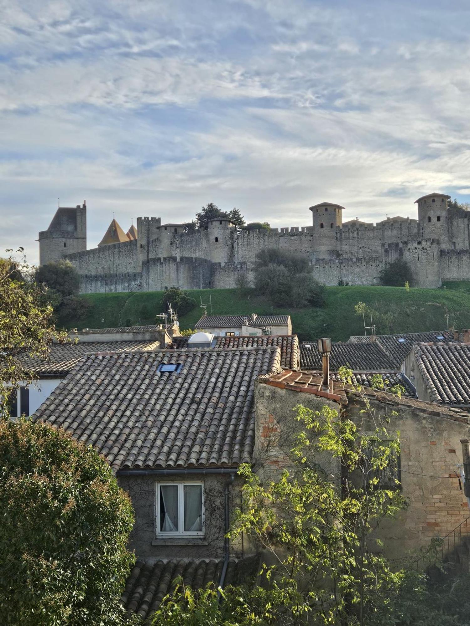 Vue Cite Medievale Castel View Carcassonne Exterior foto